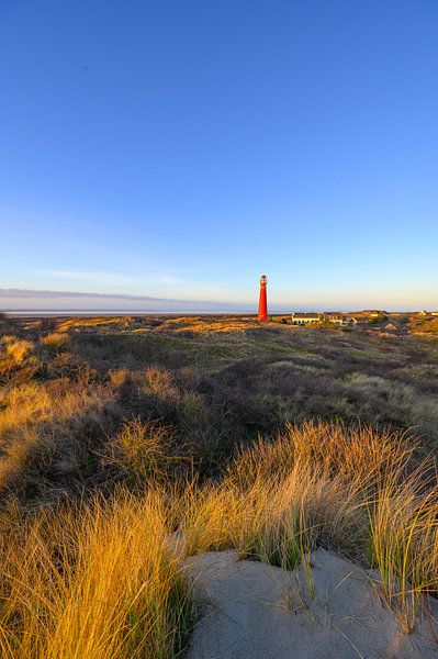 Schiermonnikoog Panoramablick in den Dünen mit dem Leuchtturm  von Sjoerd van der Wal Fotografie