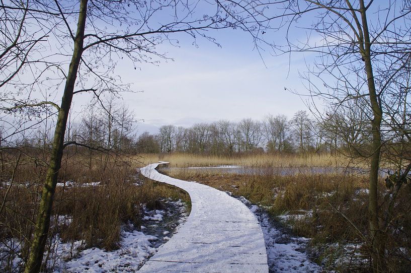 Wintergezicht by Ad Steenbergen
