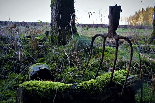 I find I find what you do not find