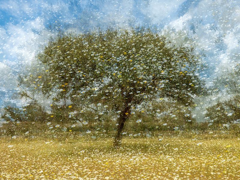 Impressionismus in der Extremadura von Karin de Jonge
