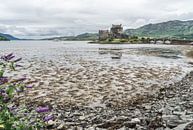 Eilean Donan Castle bij laag water. van Floris van Woudenberg thumbnail