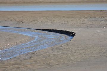 Ein kleiner Bachlauf durch den Sand von Philipp Klassen