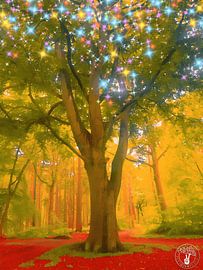 Where the Light is van treesgivepeace.nl