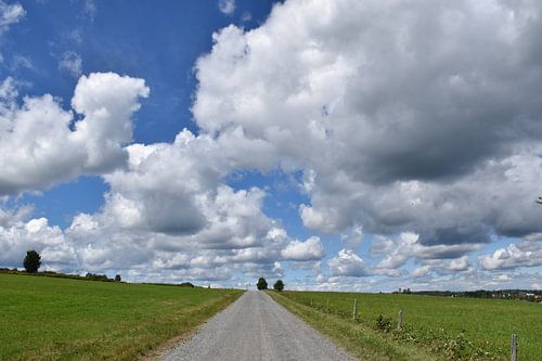 Une route de campagne déserte