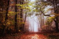 Early November by Tvurk Photography thumbnail