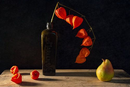 Stilleben, Physalis-Laternenzweig