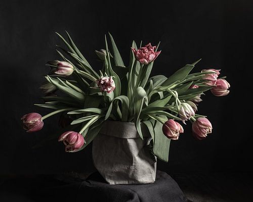 Tulpen in einer Papiervase | bildende Kunst Stillleben Farbfotografie | Wandkunst drucken