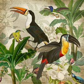 In the realm of toucan and hummingbird by christine b-b müller