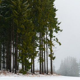 Groepje bomen in winters landschap van Koen Leerink