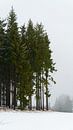 Groepje bomen in winters landschap van Koen Leerink thumbnail