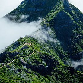 Bergtop in de wolken in Madeira van Sven van Rooijen