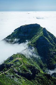 Bergtop in de wolken in Madeira van Sven van Rooijen
