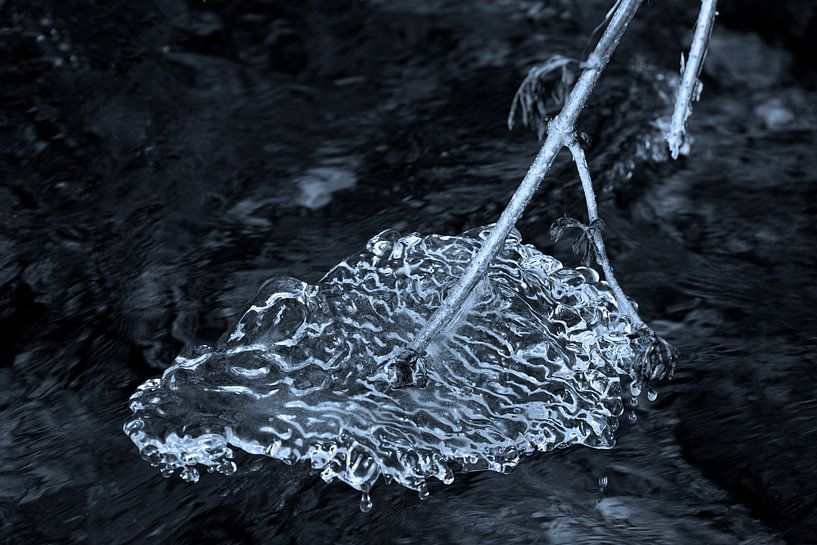 Ice sculpture in Liederbach | Taunus by Flatfield