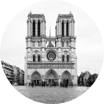 Notre-Dame Parijs - 5 van Damien Franscoise