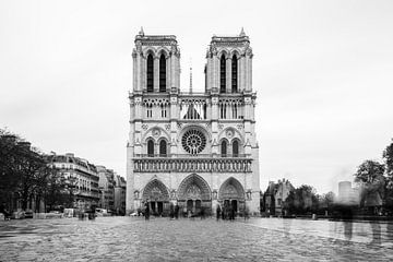 Notre-Dame Paris - 5 by Damien Franscoise