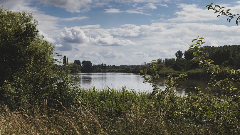Sommerlandschaft an der Schelde, Belgien von Imladris Images