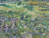 Lang gras met vlinders, Vincent van Gogh van Meesterlijcke Meesters thumbnail