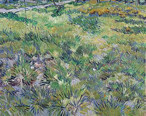 Lang gras met vlinders, Vincent van Gogh