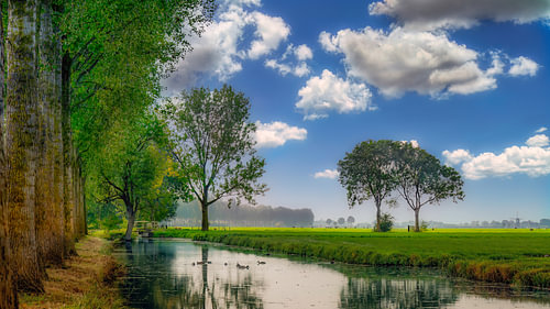 Die Ruhe der holländischen Landschaft.