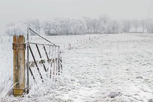 Hekje in de sneeuw van Truus Nijland