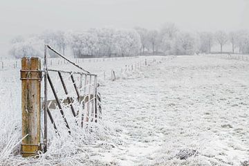 Zaun im Schnee von Truus Nijland
