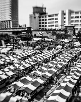 Eindhoven in Focus