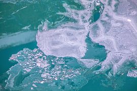 Une tête de crocodile dans un lac de barrage