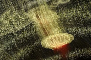 Light images by Martin Verstraaten