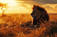 Lion during golden hour in Africa by Digitale Schilderijen thumbnail