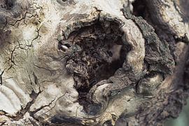 Mosaïque de bois sur Thom Hofstra