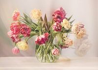 Tulipes