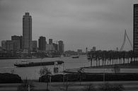 Rotterdam Skyline bw 2 von Nuance Beeld Miniaturansicht