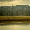 De Ooijpolder bij Nijmegen van Maerten Prins