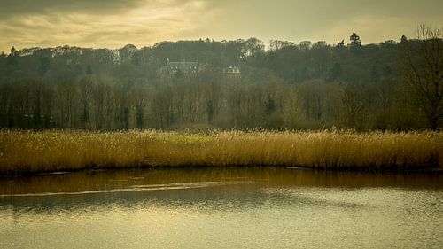 De Ooijpolder bij Nijmegen van Maerten Prins