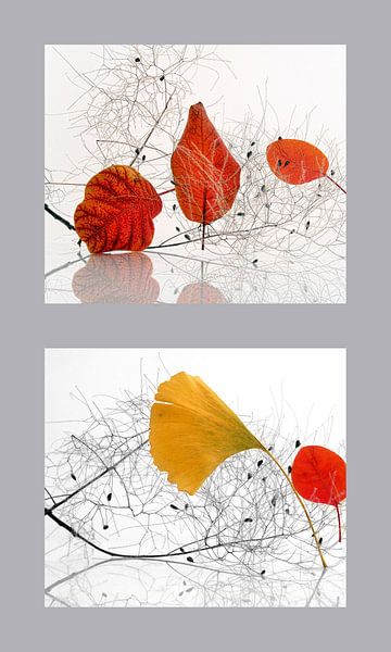 Feuilles d'automne par Martine Affre Eisenlohr