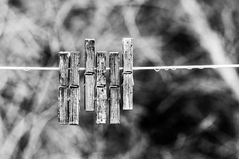 Clothes pegs