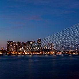 Erasmusbrug Rotterdam von Irene van der Sloot