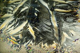 Colorful crystals by Norbert Sülzner