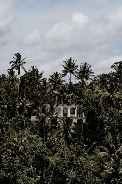 Bali by Inge Pieck