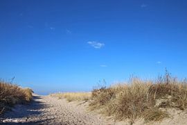 Winterdünen by Ostsee Bilder