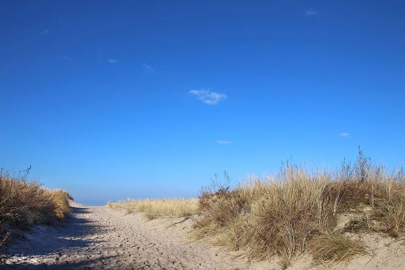 Winterdünen by Ostsee Bilder