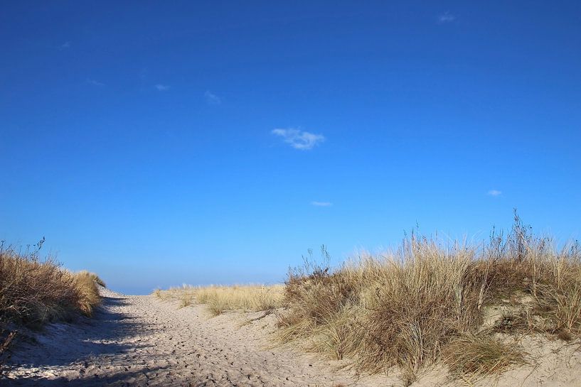 Winterdünen van Ostsee Bilder