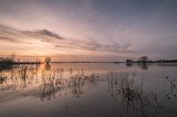 Lower Rhine by Moetwil en van Dijk - Fotografie thumbnail