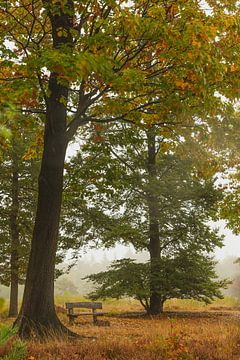 Paysage d'automne sur Ton Gorter