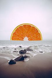 Horizon by Eline Boon