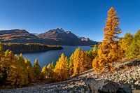 Couleurs d'automne