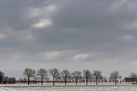 Een besneeuwd landschap onder een winterse wolkenlucht van Erna Böhre thumbnail