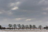Een besneeuwd landschap onder een winterse wolkenlucht
