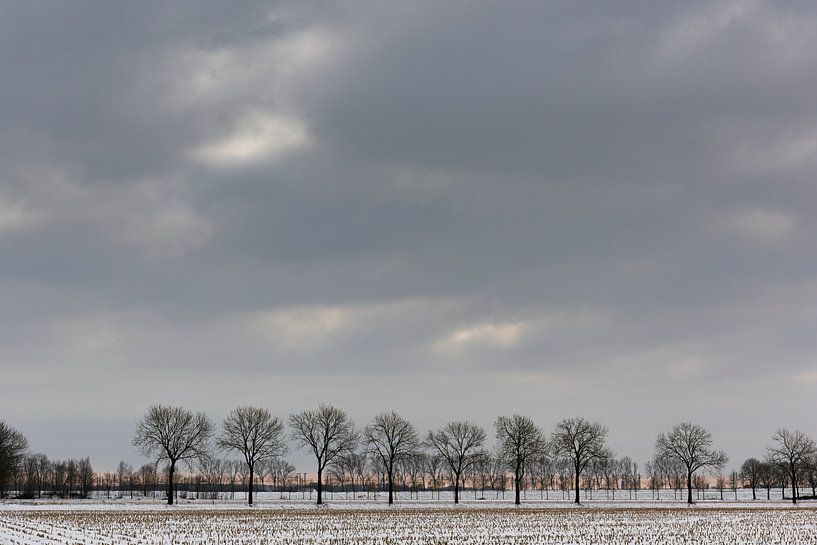 Een besneeuwd landschap onder een winterse wolkenlucht van Erna Böhre