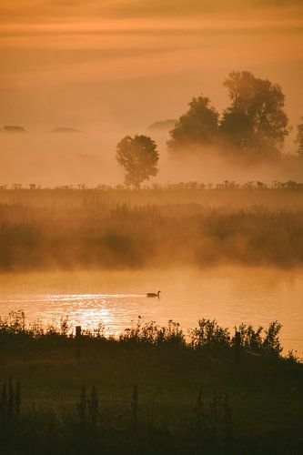 Goldene Stunde auf dem Fluss IJssel